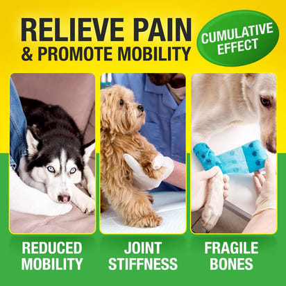 Hemp Joint Care Chews for Dogs™