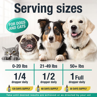 Calm Paws Hemp Oil™