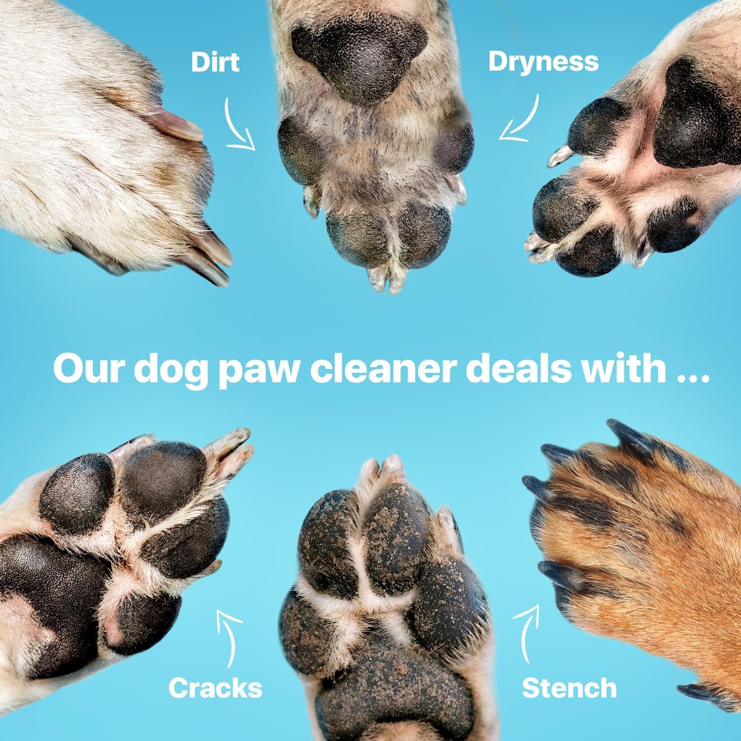 Charlie & Buddy Dog Paw Cleaner for Dogs of Small, Medium, Large Sizes, No-Rinse Foaming Cleanser, Paw Scrubber for Dogs Free of Parabens, Sulfates, Fragrances, Moisturize and Deodorize