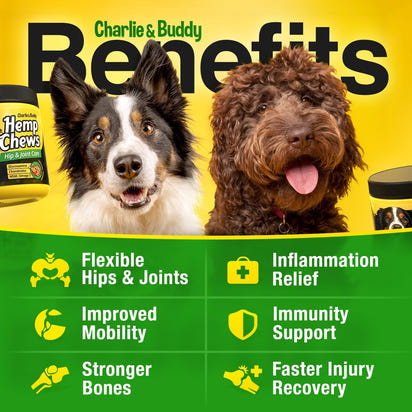 Hemp Joint Care Chews for Dogs™