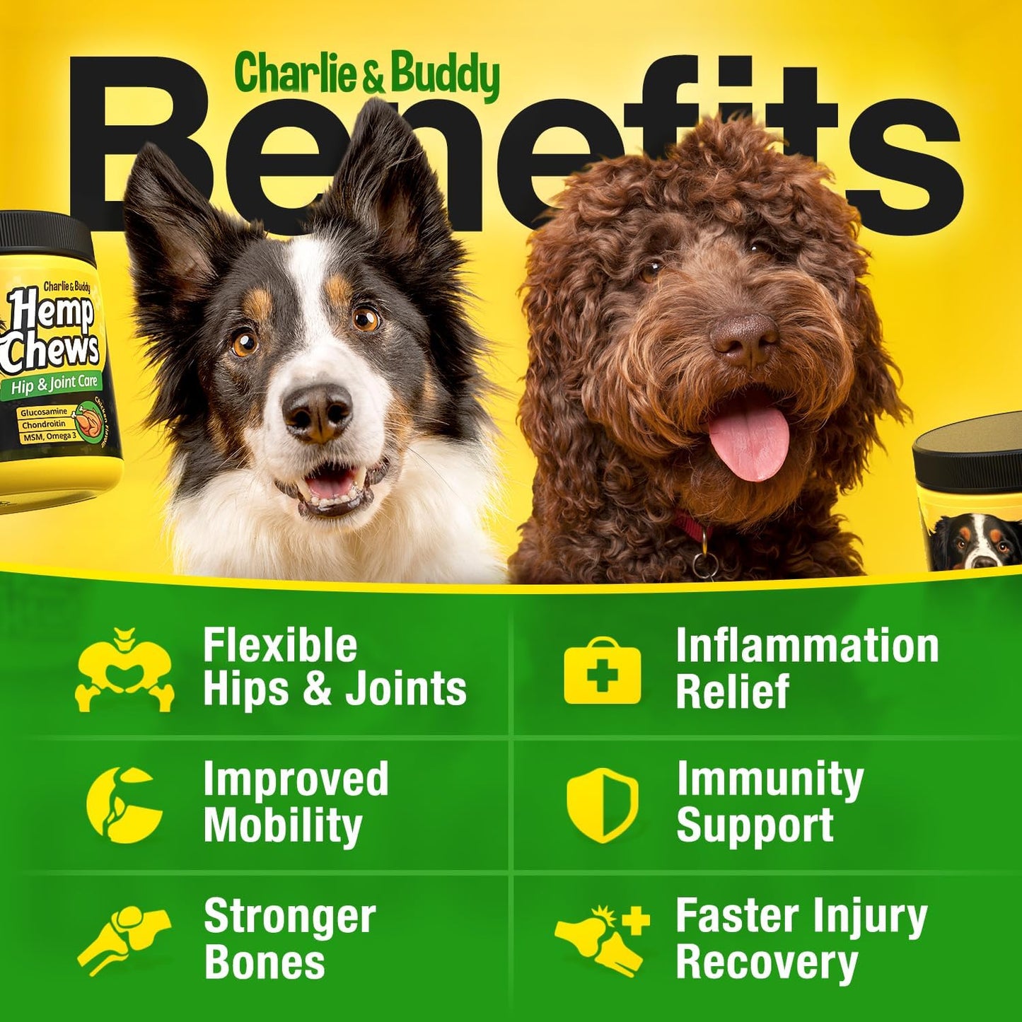 Hemp Joint Care Chews for Dogs™