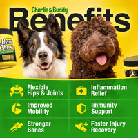 Hemp Joint Care Chews for Dogs™